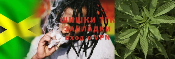 PSILOCYBIN Медвежьегорск
