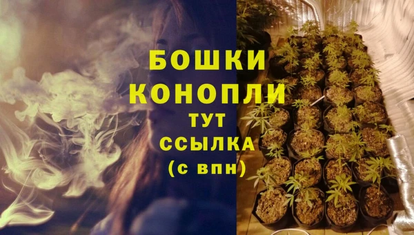 PSILOCYBIN Медвежьегорск