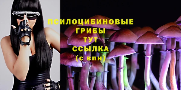 PSILOCYBIN Медвежьегорск
