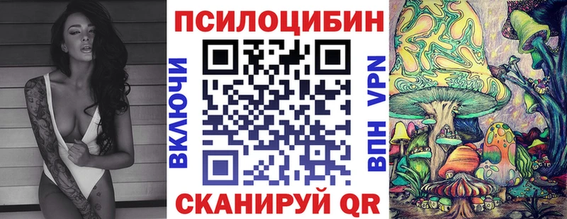 цена   Карачаевск  Псилоцибиновые грибы Psilocybe 