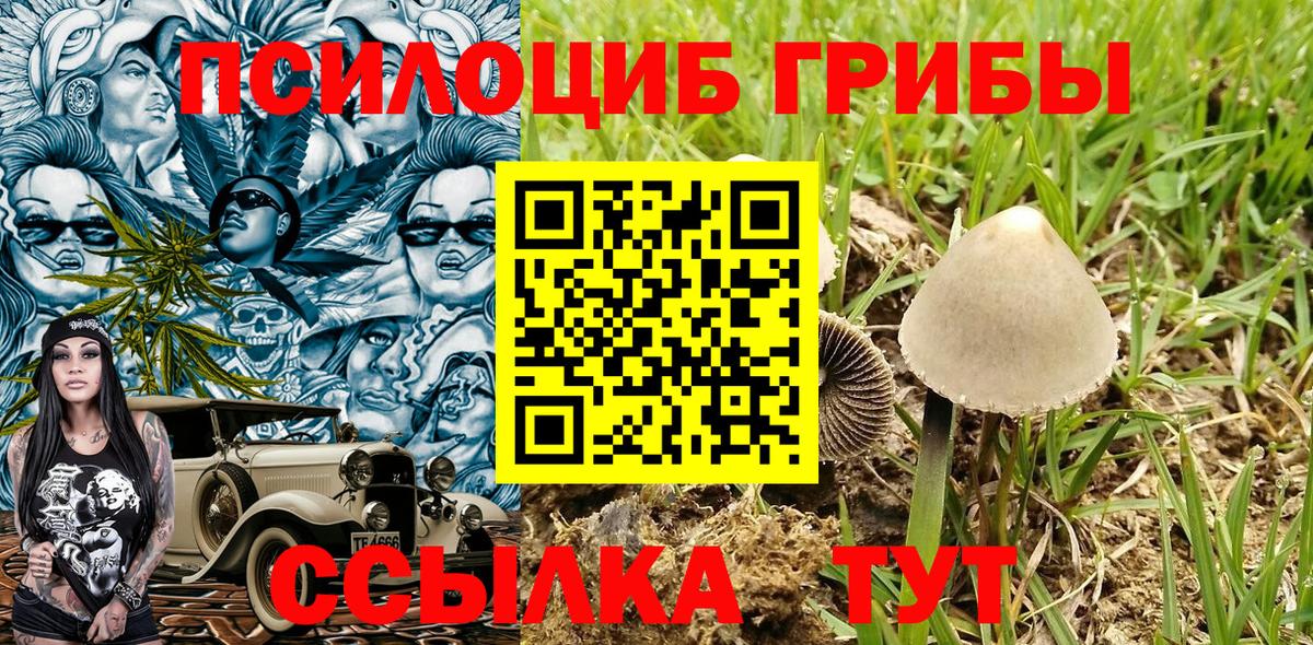 Галлюциногенные грибы мухоморы  Псилоцибиновые грибы Cubensis  Карачаевск  Вход с VPN 
