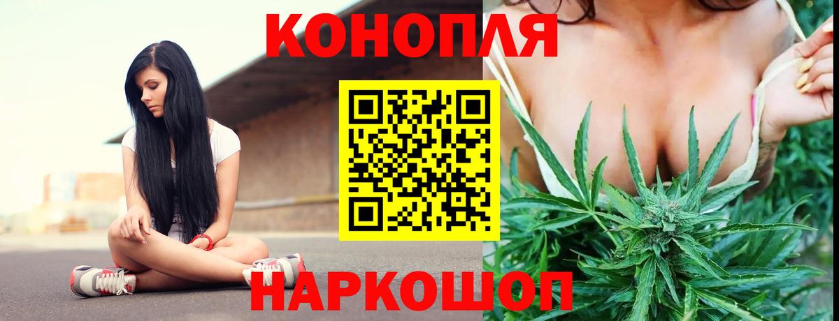 Бошки Шишки OG Kush Карачаевск